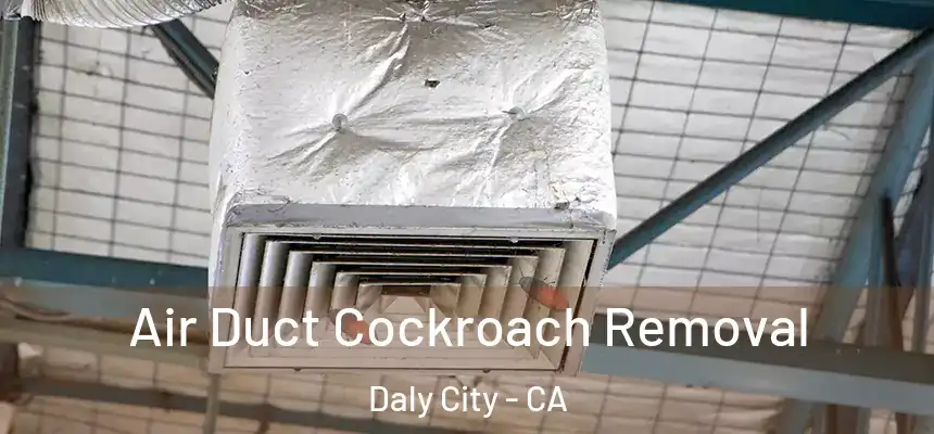  Air Duct Cockroach Removal Daly City - CA