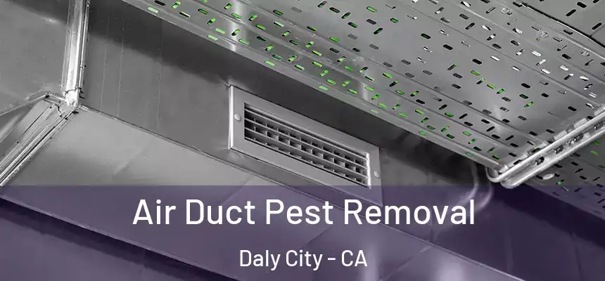  Air Duct Pest Removal Daly City - CA