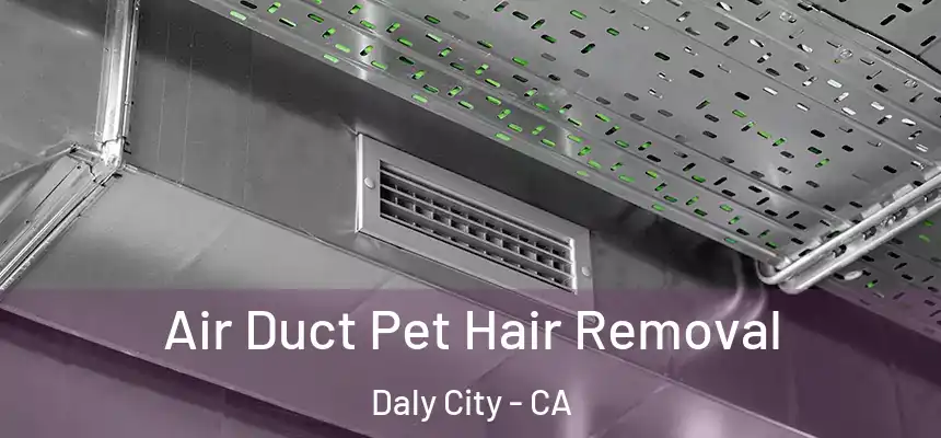  Air Duct Pet Hair Removal Daly City - CA