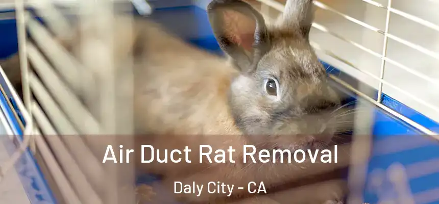  Air Duct Rat Removal Daly City - CA