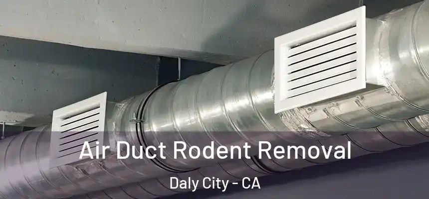  Air Duct Rodent Removal Daly City - CA