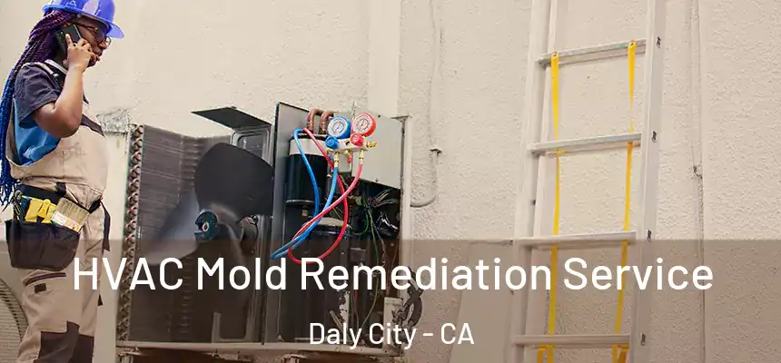 HVAC Mold Remediation Service Daly City - CA