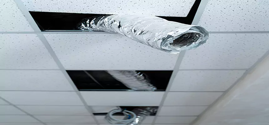 Our Air Duct Pet Hair Removal Services in Daly City, CA