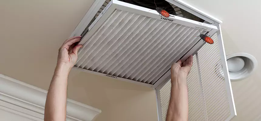 Our Insect Removal from Air Ducts Services in Daly City, CA