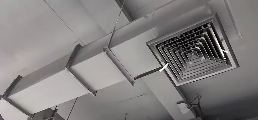 Our Pest Removal From Ducts Services in Daly City, CA