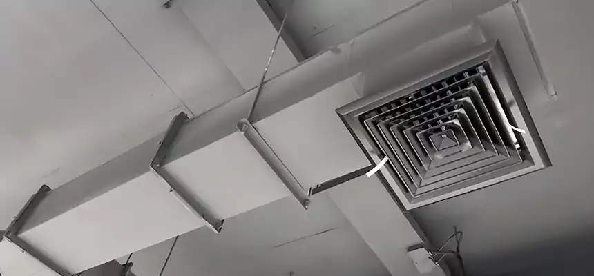 Our Rodent Droppings In Vents Services in Daly City, CA