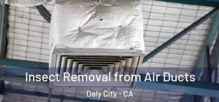 Insect Removal from Air Ducts Daly City - CA