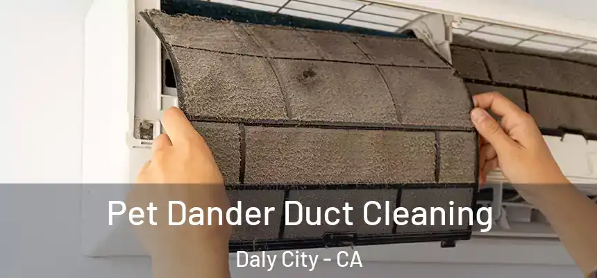  Pet Dander Duct Cleaning Daly City - CA