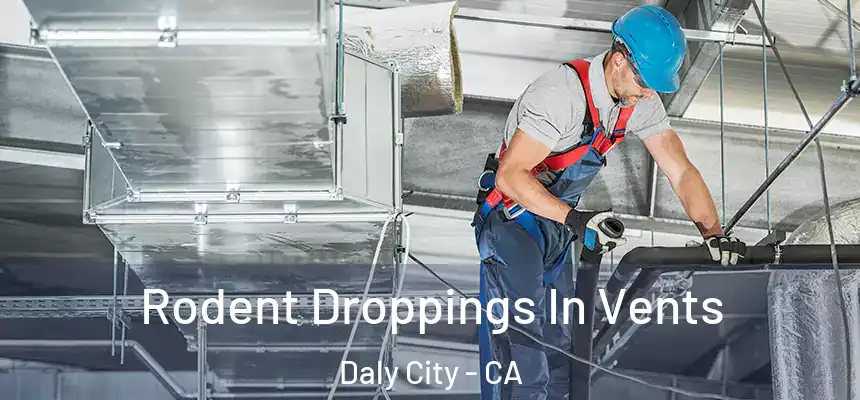  Rodent Droppings In Vents Daly City - CA
