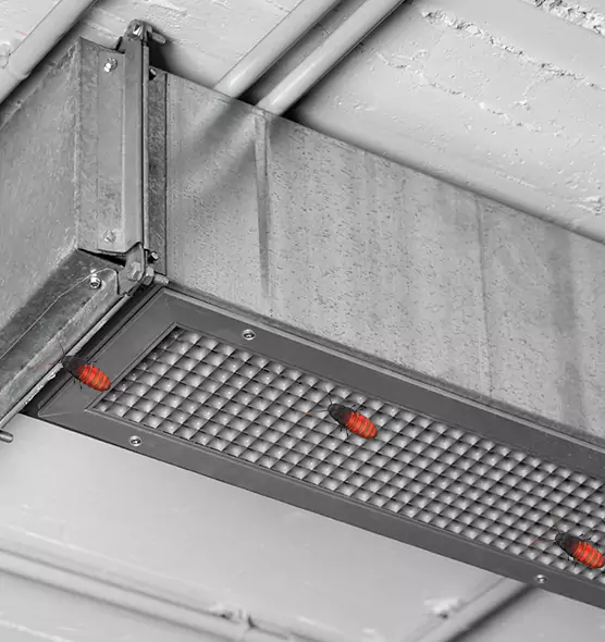 Affordable Insect Removal from Air Ducts in Daly City, CA