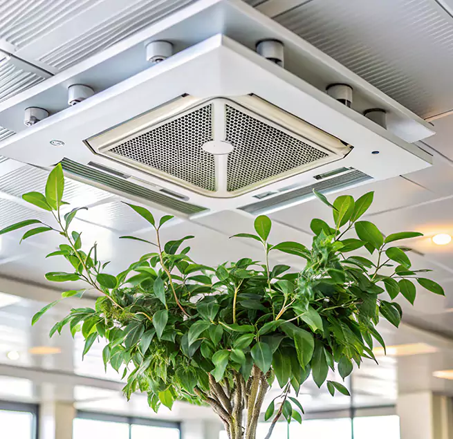 Why Homeowners & Businesses Trust Us in Daly City, CA?