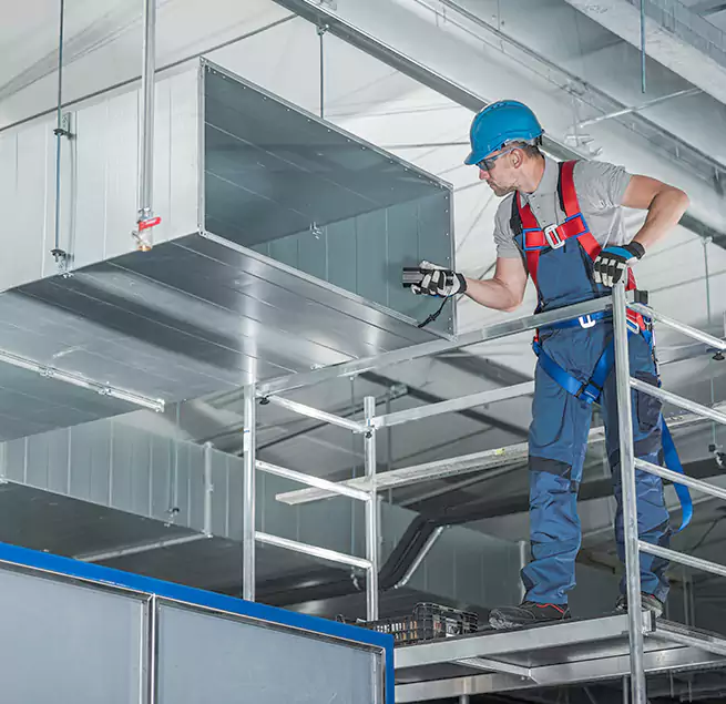 Why Homeowners Businesses Trust Us in Daly City, CA