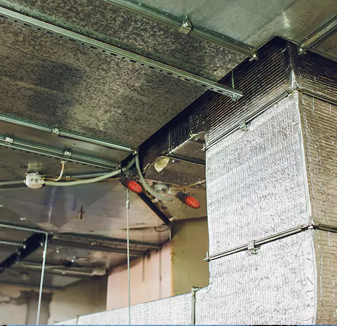 Why Homeowners & Businesses Trust Us Daly City, CA?