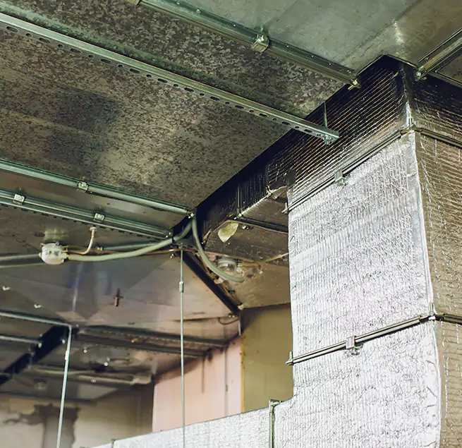 Why Homeowners & Businesses Trust Us in Daly City, CA?